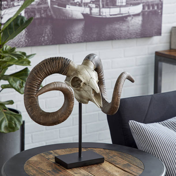 Zentique Goat Skull Wall Décor & Reviews Wayfair